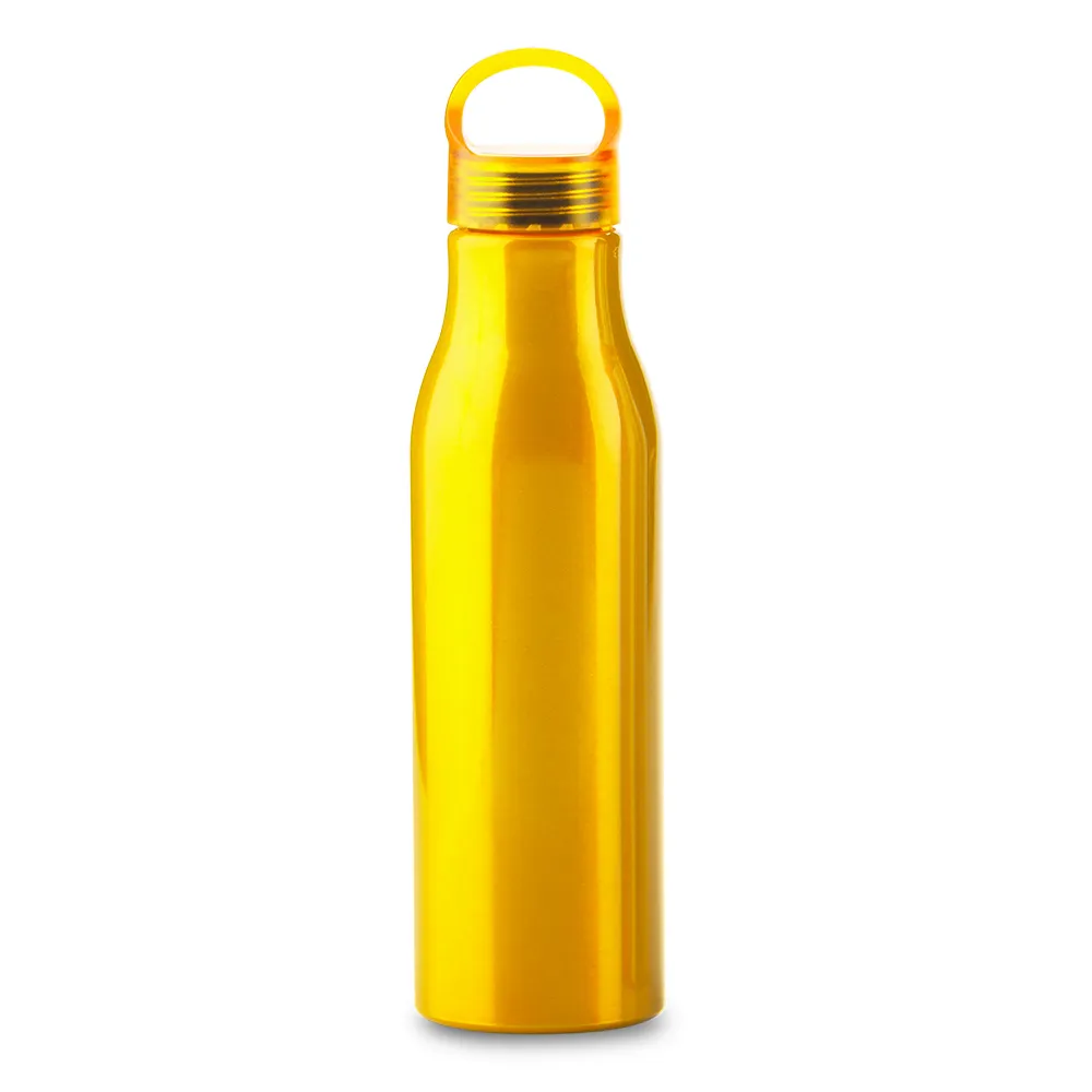 Botilito Metálico Barry 600 ml