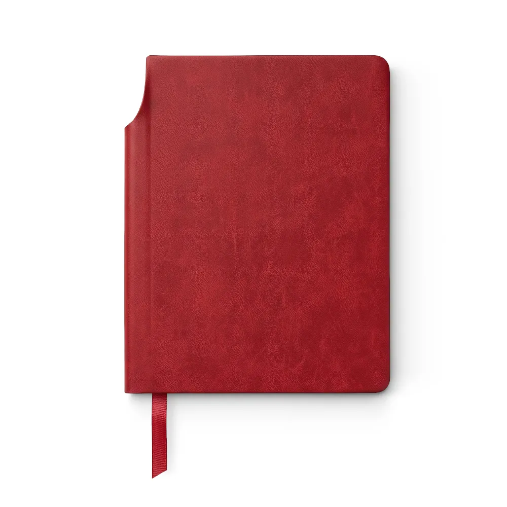 Libreta Newton II