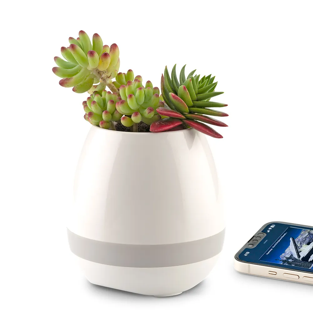 Speaker Bluetooth Plant