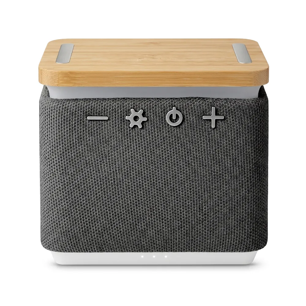 Speaker Bluetooth Sync